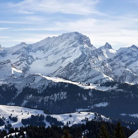 Le Brevent 4 By Interhome アパート