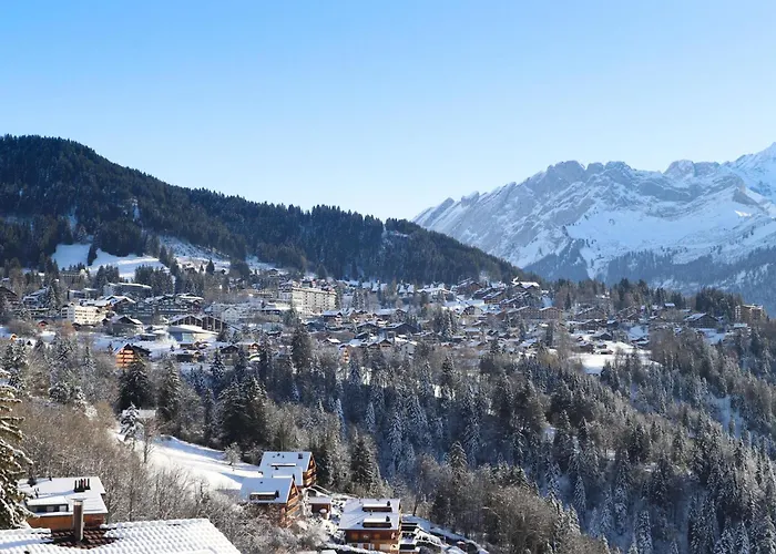 Le Brevent 4 By Interhome