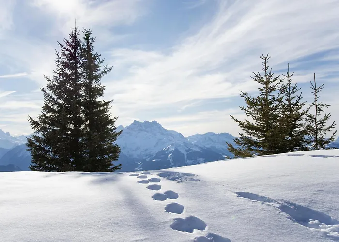 アパート Le Brevent 4 By Interhome *