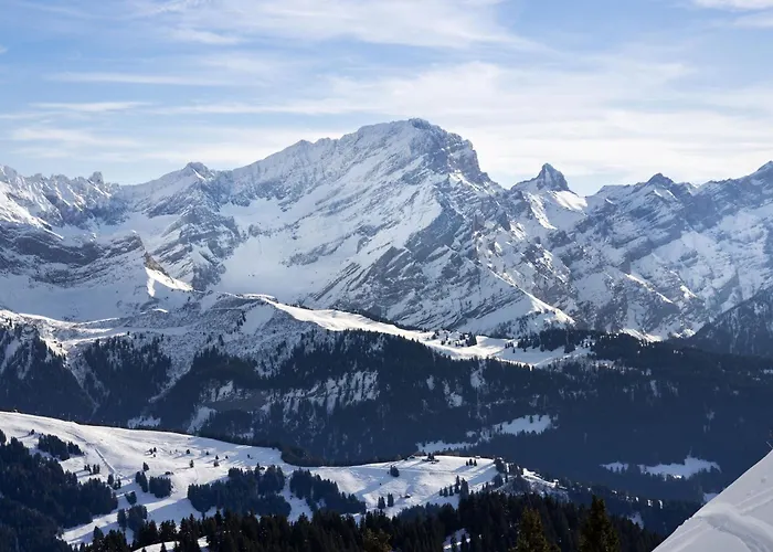 Le Brevent 4 By Interhome Apartment